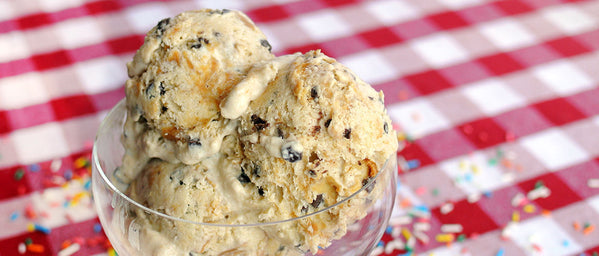 Chocolate Chip Peanut Butter Ice Cream